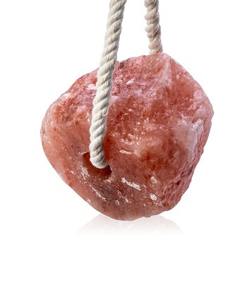 Lizawka cylindryczna duża